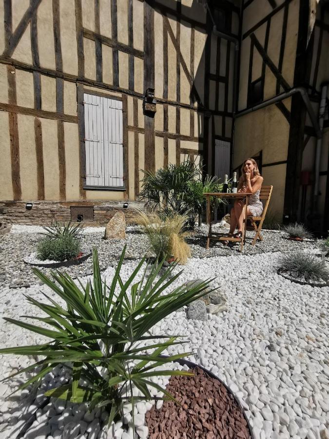 Le Chat De La Cathedrale - Calme - Jardin - Wifi Troyes Bagian luar foto