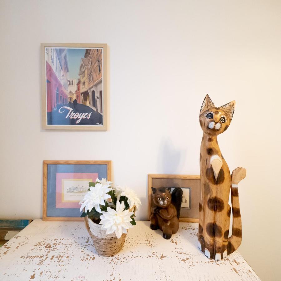 Le Chat De La Cathedrale - Calme - Jardin - Wifi Troyes Bagian luar foto
